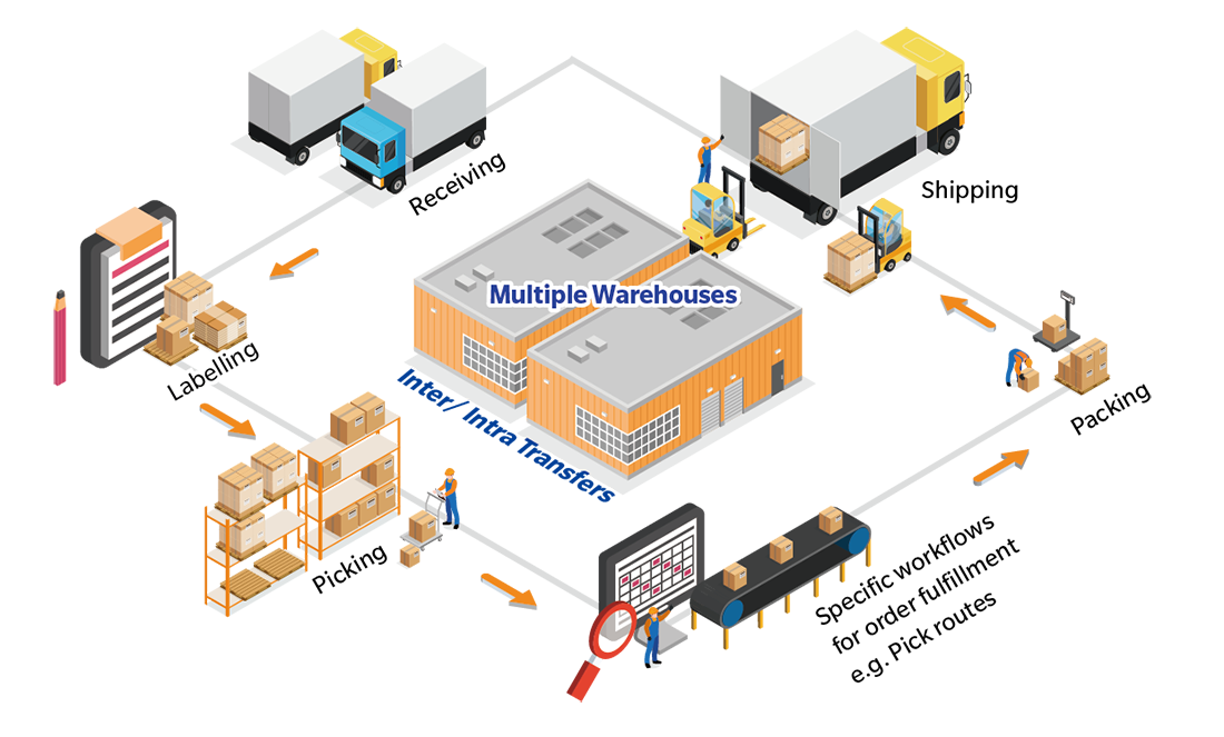 Modern Digital Warehouse Optimizes Operations